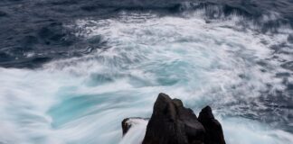 Kiedy spadną ceny żywności?