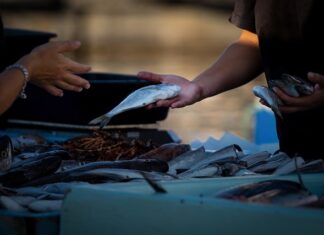 Czego nie wolno sprzedawać na FB?