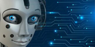 Ile kosztuje chatbot?