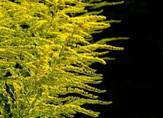 Co opłaca się sądzić?