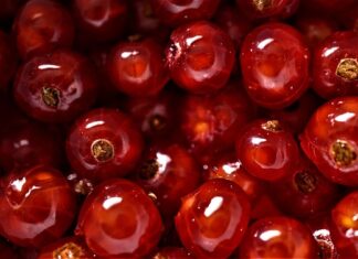 Co sprzedaje się najlepiej w internecie?