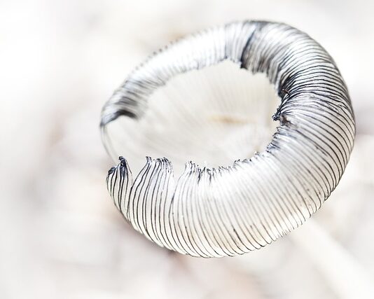 Jak się gra w kreski?