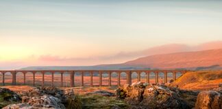 Jak konduktor sprawdza bilety kupione przez internet?