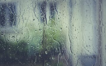 Jak się robi korki na koniu?