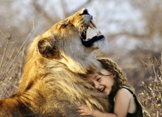 Jakie gry z dzieckiem na kartce?